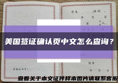 美国签证确认页中文怎么查询？缩略图