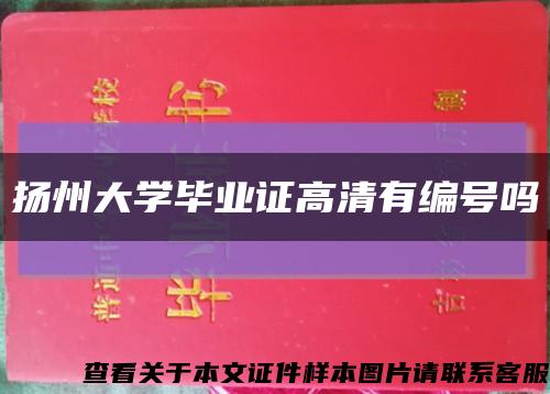 扬州大学毕业证高清有编号吗缩略图
