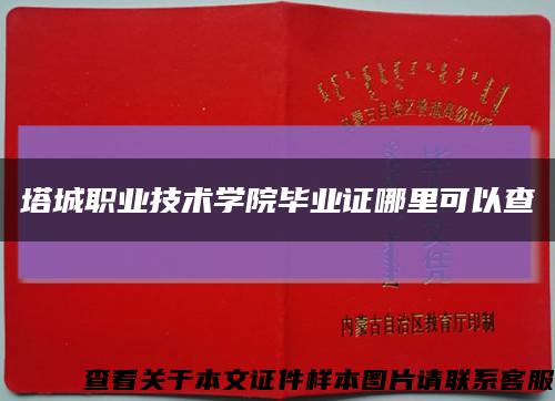 塔城职业技术学院毕业证哪里可以查缩略图