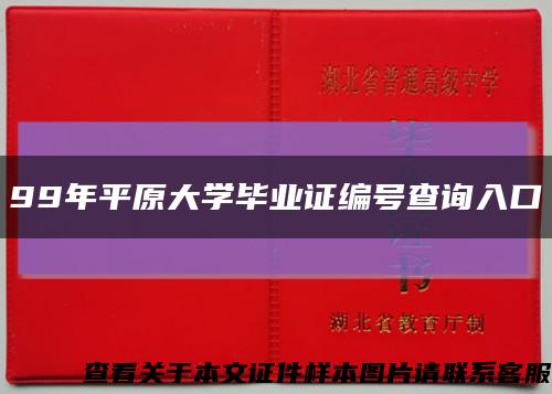 99年平原大学毕业证编号查询入口缩略图