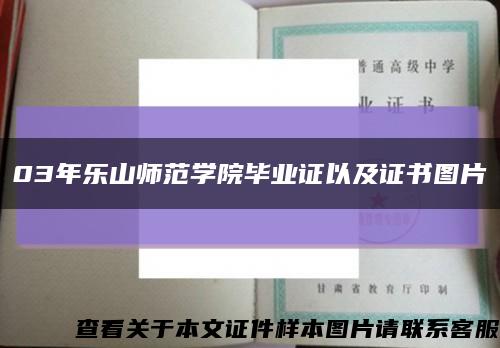 03年乐山师范学院毕业证以及证书图片缩略图