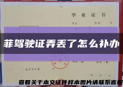 菲驾驶证弄丢了怎么补办缩略图