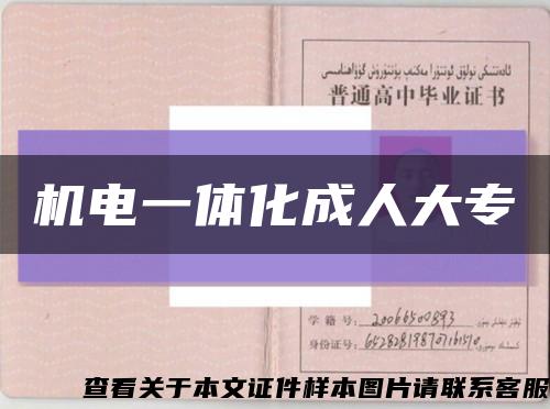 机电一体化成人大专缩略图