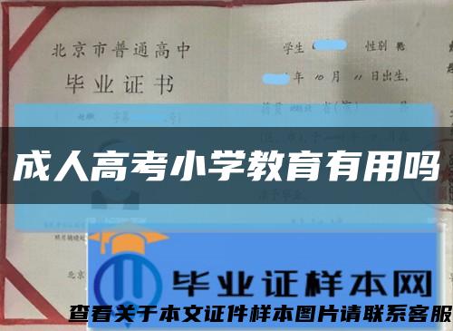成人高考小学教育有用吗缩略图