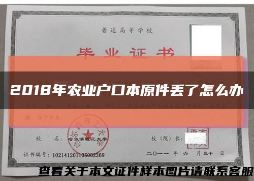 2018年农业户口本原件丢了怎么办缩略图