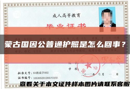 蒙古国因公普通护照是怎么回事？缩略图