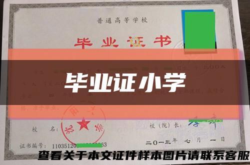 毕业证小学缩略图