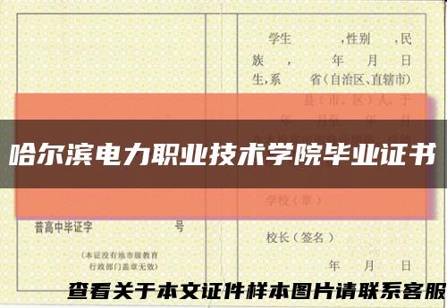 哈尔滨电力职业技术学院毕业证书缩略图