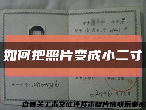 如何把照片变成小二寸缩略图