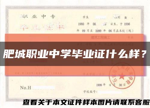 肥城职业中学毕业证什么样？缩略图