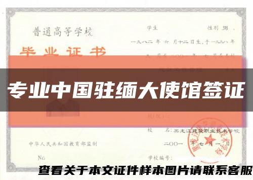 专业中国驻缅大使馆签证缩略图
