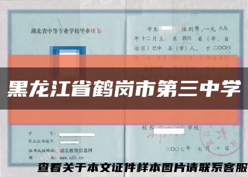 黑龙江省鹤岗市第三中学缩略图
