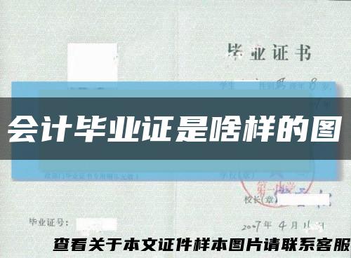 会计毕业证是啥样的图缩略图