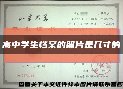 高中学生档案的照片是几寸的缩略图