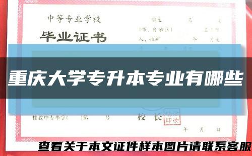 重庆大学专升本专业有哪些缩略图