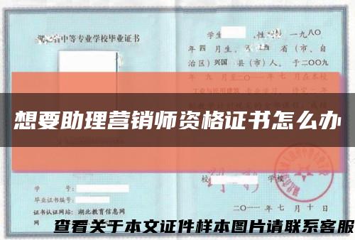 想要助理营销师资格证书怎么办缩略图