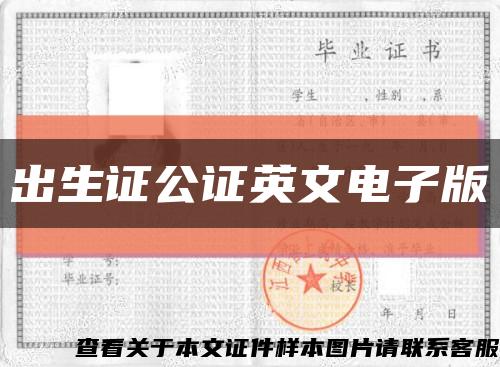 出生证公证英文电子版缩略图