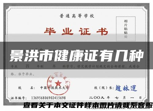 景洪市健康证有几种缩略图