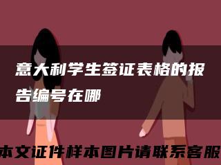 意大利学生签证表格的报告编号在哪缩略图