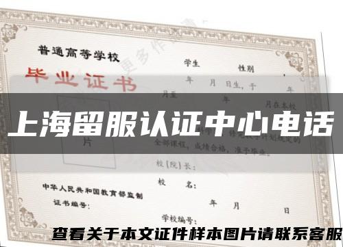 上海留服认证中心电话缩略图