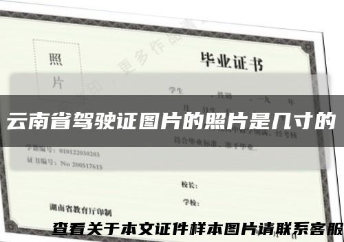 云南省驾驶证图片的照片是几寸的缩略图