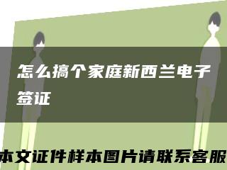 怎么搞个家庭新西兰电子签证缩略图