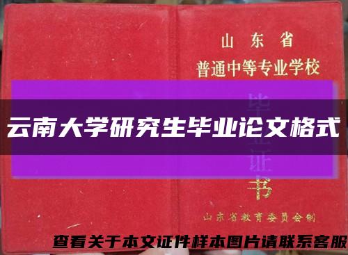云南大学研究生毕业论文格式缩略图