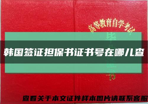 韩国签证担保书证书号在哪儿查缩略图