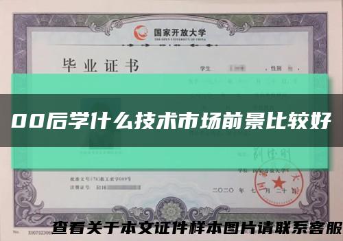00后学什么技术市场前景比较好缩略图