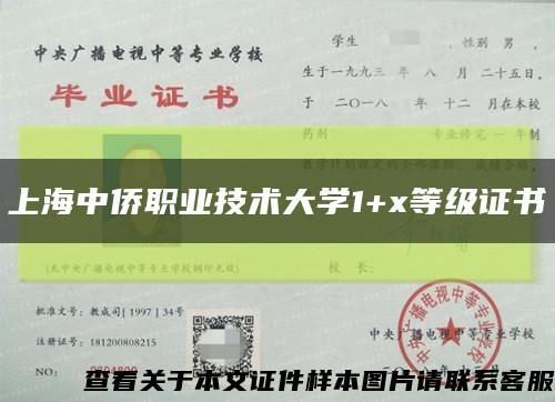 上海中侨职业技术大学1+x等级证书缩略图