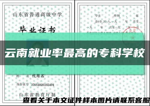 云南就业率最高的专科学校缩略图
