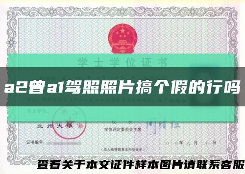 a2曾a1驾照照片搞个假的行吗缩略图