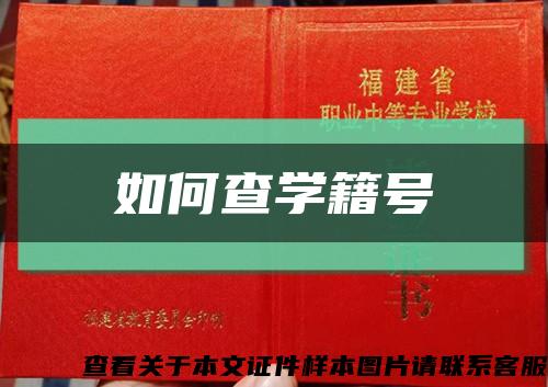 如何查学籍号缩略图