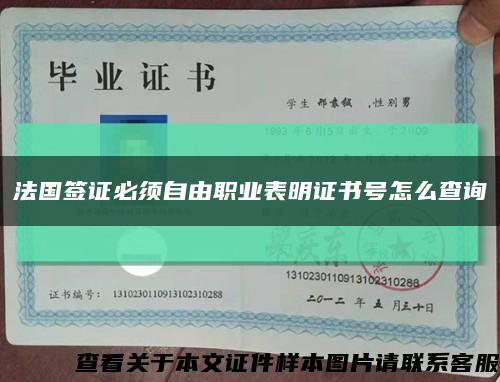 法国签证必须自由职业表明证书号怎么查询缩略图
