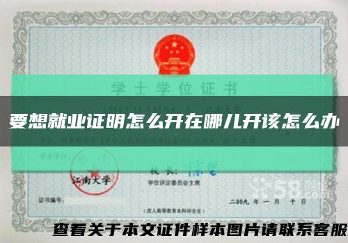 要想就业证明怎么开在哪儿开该怎么办缩略图