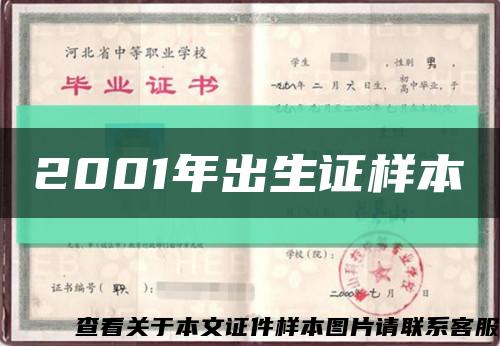 2001年出生证样本缩略图