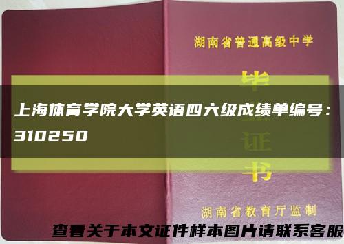 上海体育学院大学英语四六级成绩单编号：310250缩略图