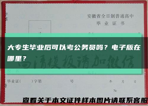 大专生毕业后可以考公务员吗？电子版在哪里？缩略图