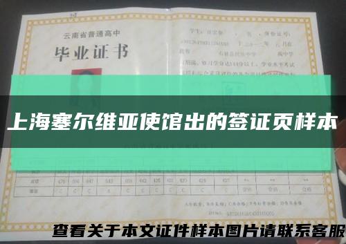 上海塞尔维亚使馆出的签证页样本缩略图