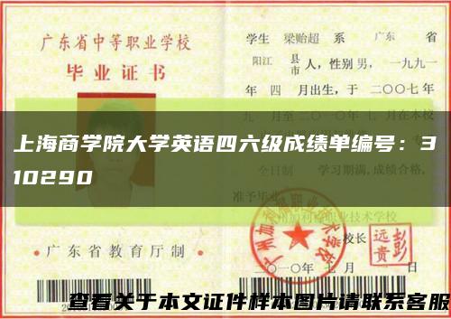 上海商学院大学英语四六级成绩单编号：310290缩略图
