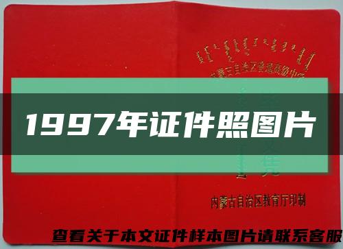 1997年证件照图片缩略图