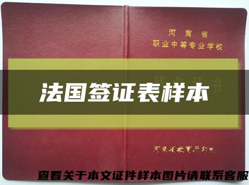 法国签证表样本缩略图