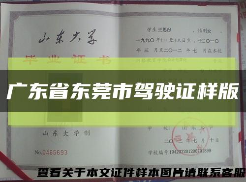 广东省东莞市驾驶证样版缩略图