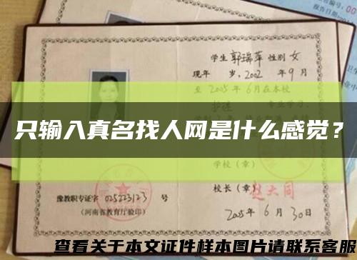 只输入真名找人网是什么感觉？缩略图