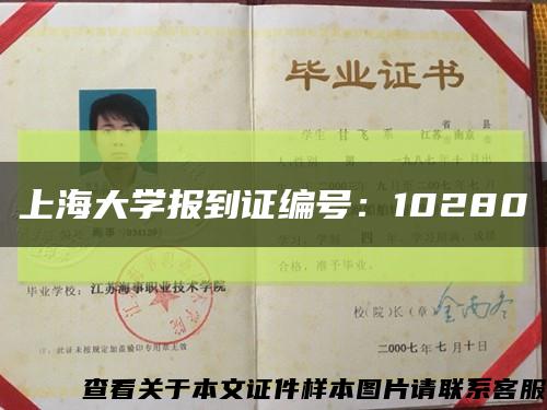上海大学报到证编号：10280缩略图