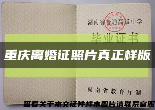 重庆离婚证照片真正样版缩略图