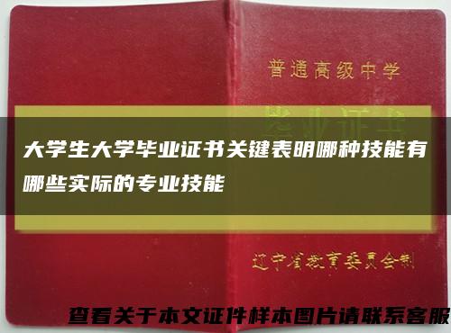 大学生大学毕业证书关键表明哪种技能有哪些实际的专业技能缩略图