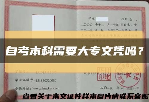自考本科需要大专文凭吗？缩略图