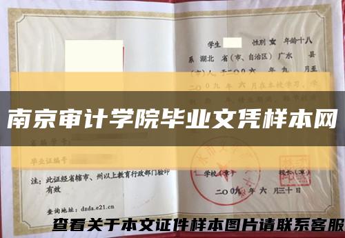 南京审计学院毕业文凭样本网缩略图