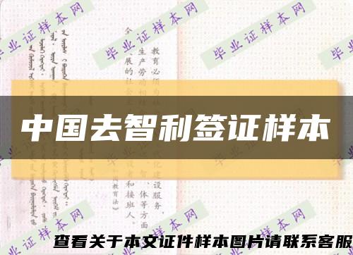 中国去智利签证样本缩略图